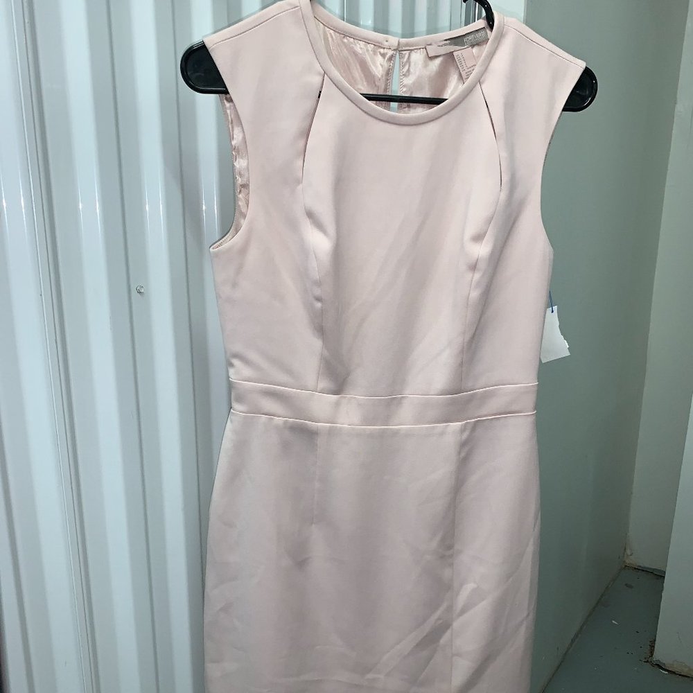 Forever 21 Rose Pink Dress